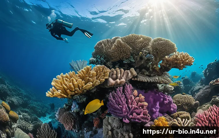산호초 생태계 - A vibrant underwater scene showcasing a diverse coral reef ecosystem off the coast of Karachi, Pakis...